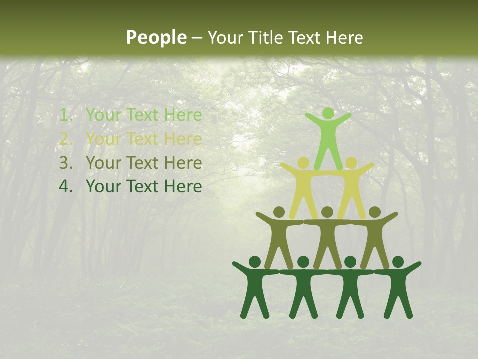 Forest Mystic Way, Primorye, Russia PowerPoint Template