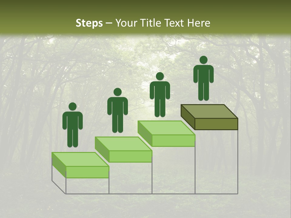 Forest Mystic Way, Primorye, Russia PowerPoint Template