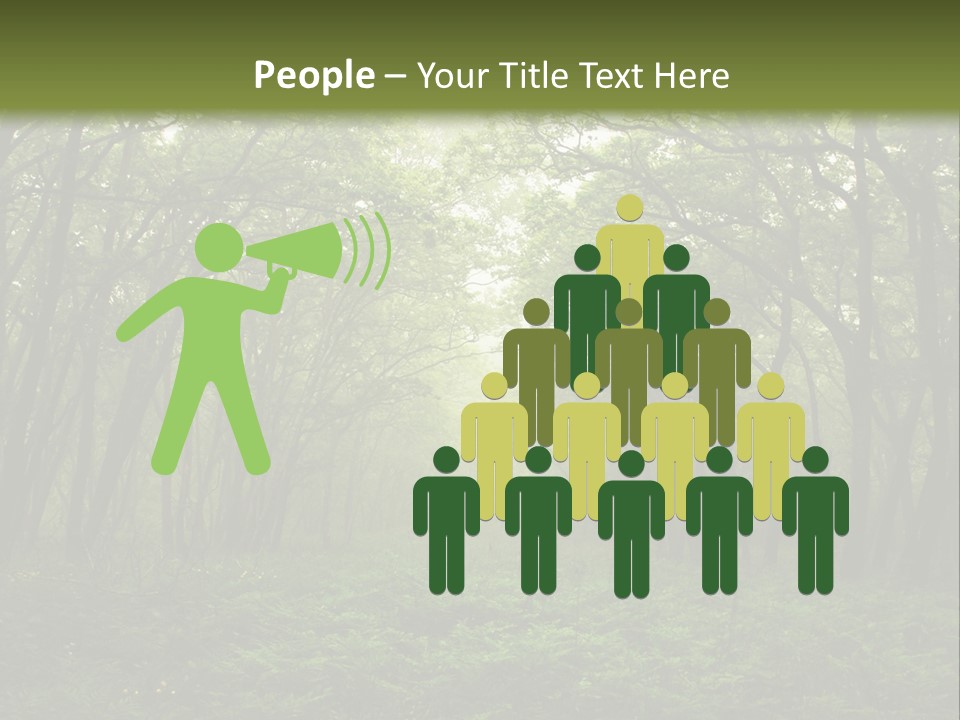 Forest Mystic Way, Primorye, Russia PowerPoint Template