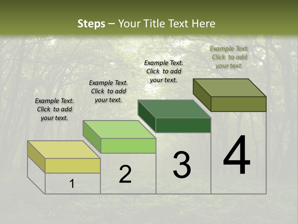 Forest Mystic Way, Primorye, Russia PowerPoint Template