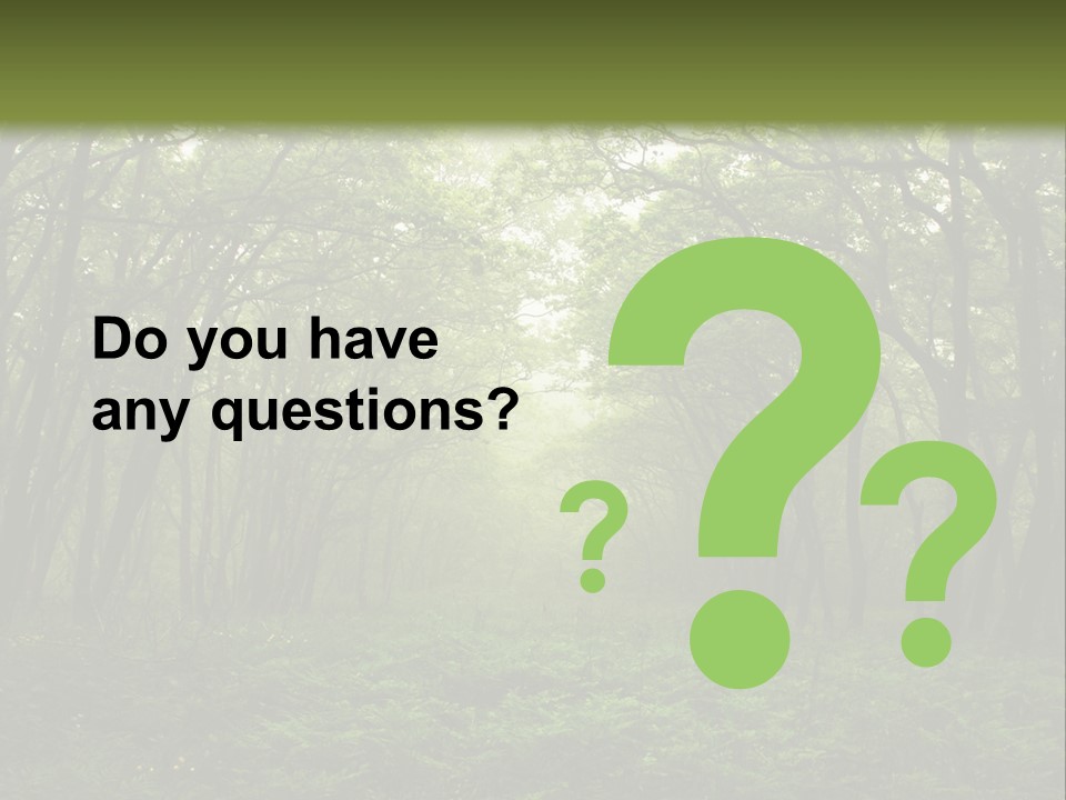 Forest Mystic Way, Primorye, Russia PowerPoint Template