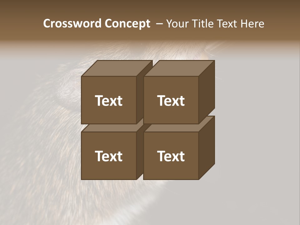 Pet Rat Drinks From Water Bottle Spout PowerPoint Template