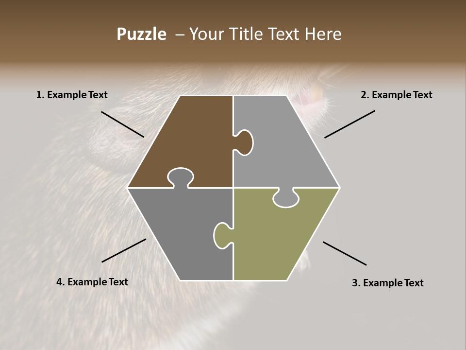 Pet Rat Drinks From Water Bottle Spout PowerPoint Template