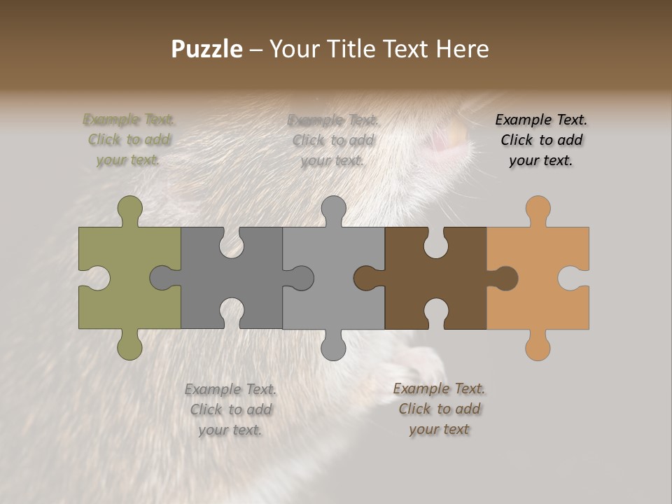 Pet Rat Drinks From Water Bottle Spout PowerPoint Template