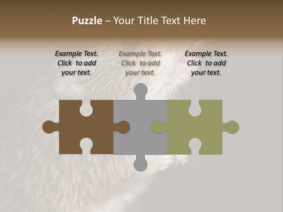 Pet Rat Drinks From Water Bottle Spout PowerPoint Template