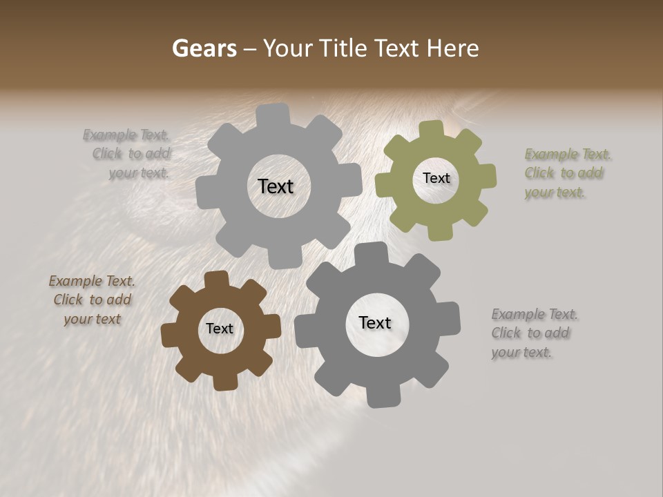 Pet Rat Drinks From Water Bottle Spout PowerPoint Template