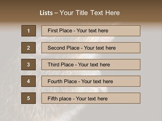 Pet Rat Drinks From Water Bottle Spout PowerPoint Template