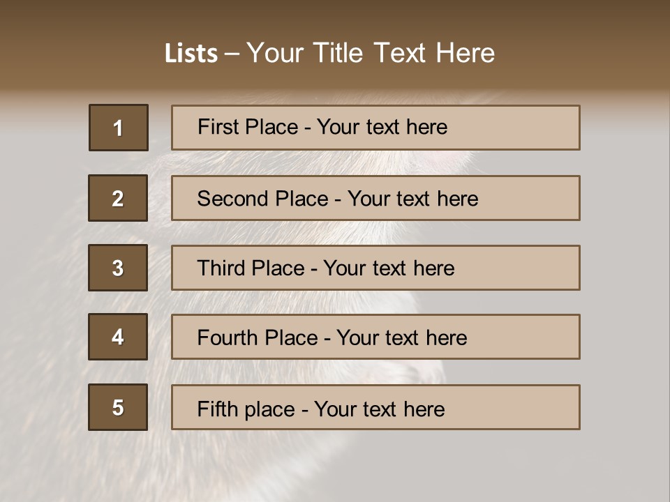 Pet Rat Drinks From Water Bottle Spout PowerPoint Template