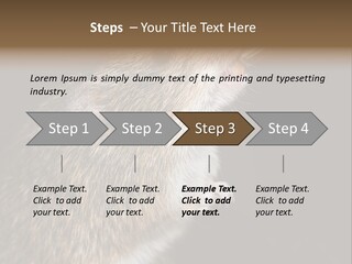 Pet Rat Drinks From Water Bottle Spout PowerPoint Template