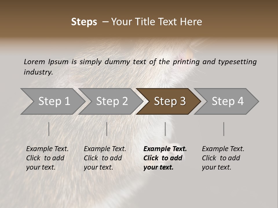 Pet Rat Drinks From Water Bottle Spout PowerPoint Template