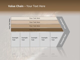 Pet Rat Drinks From Water Bottle Spout PowerPoint Template