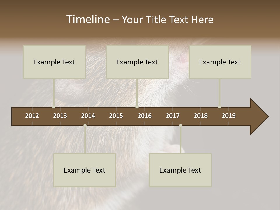 Pet Rat Drinks From Water Bottle Spout PowerPoint Template