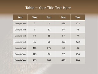 Pet Rat Drinks From Water Bottle Spout PowerPoint Template