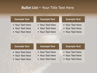 Pet Rat Drinks From Water Bottle Spout PowerPoint Template