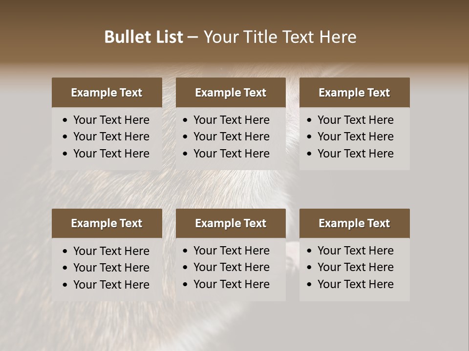 Pet Rat Drinks From Water Bottle Spout PowerPoint Template