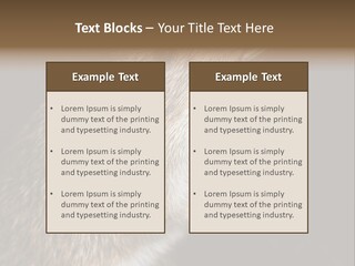 Pet Rat Drinks From Water Bottle Spout PowerPoint Template