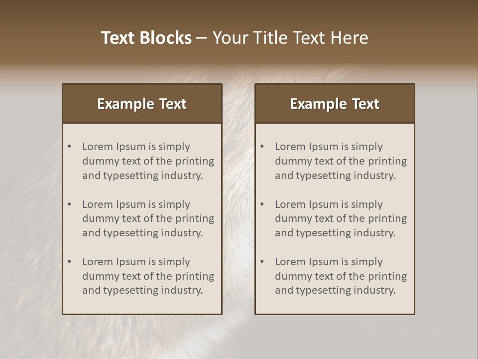 Pet Rat Drinks From Water Bottle Spout PowerPoint Template