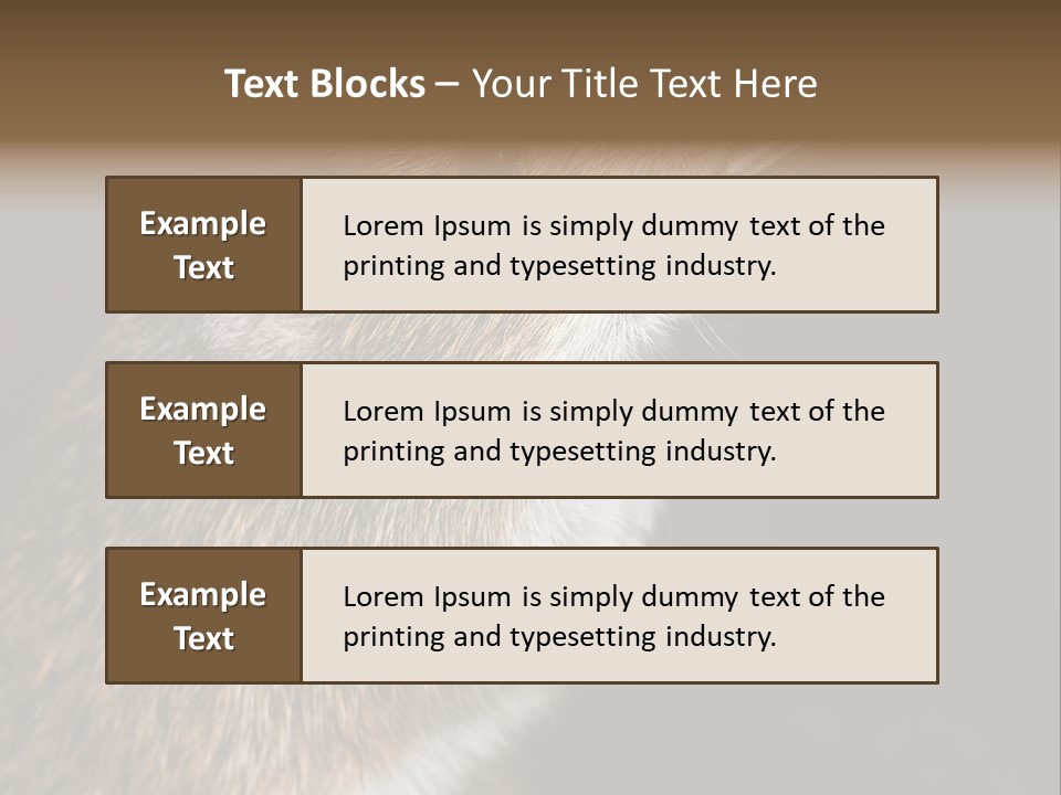 Pet Rat Drinks From Water Bottle Spout PowerPoint Template