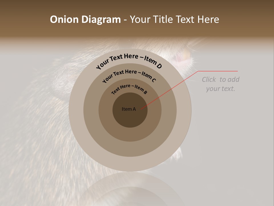 Pet Rat Drinks From Water Bottle Spout PowerPoint Template