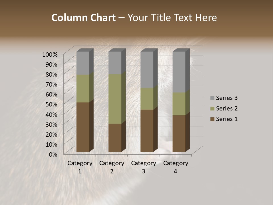 Pet Rat Drinks From Water Bottle Spout PowerPoint Template