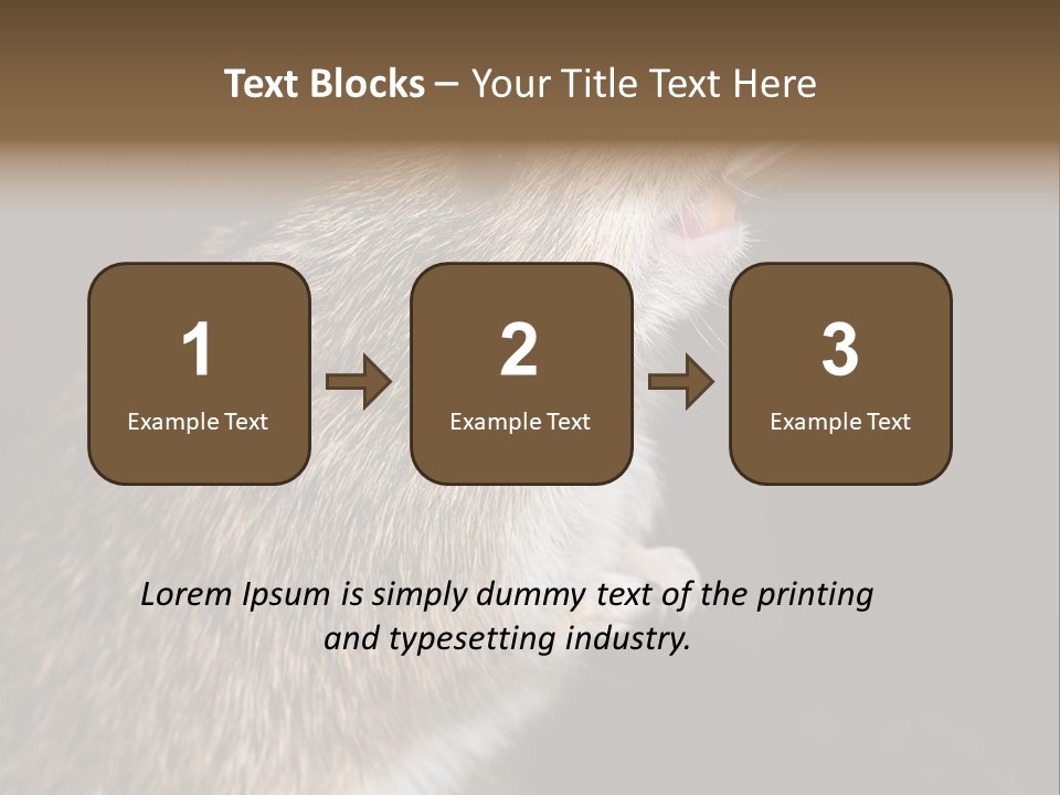 Pet Rat Drinks From Water Bottle Spout PowerPoint Template