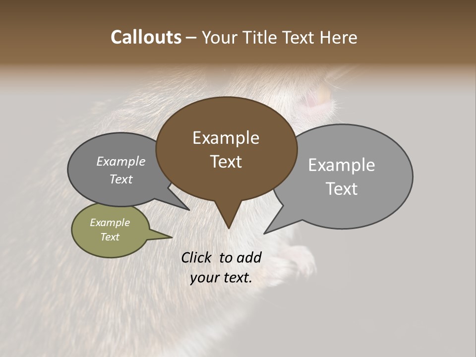 Pet Rat Drinks From Water Bottle Spout PowerPoint Template