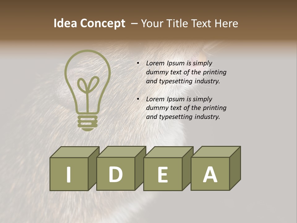 Pet Rat Drinks From Water Bottle Spout PowerPoint Template