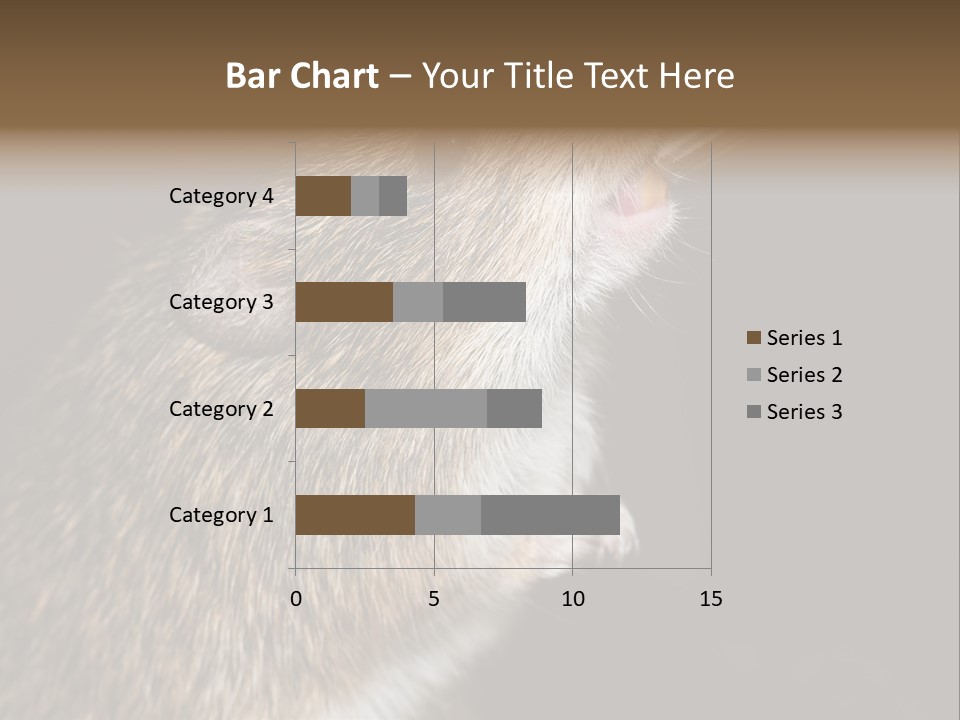 Pet Rat Drinks From Water Bottle Spout PowerPoint Template