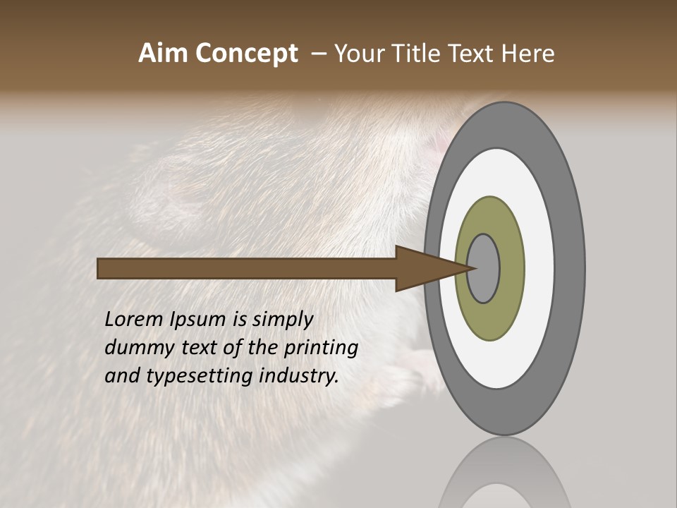 Pet Rat Drinks From Water Bottle Spout PowerPoint Template