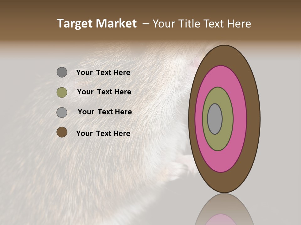 Pet Rat Drinks From Water Bottle Spout PowerPoint Template