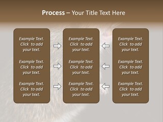 Pet Rat Drinks From Water Bottle Spout PowerPoint Template