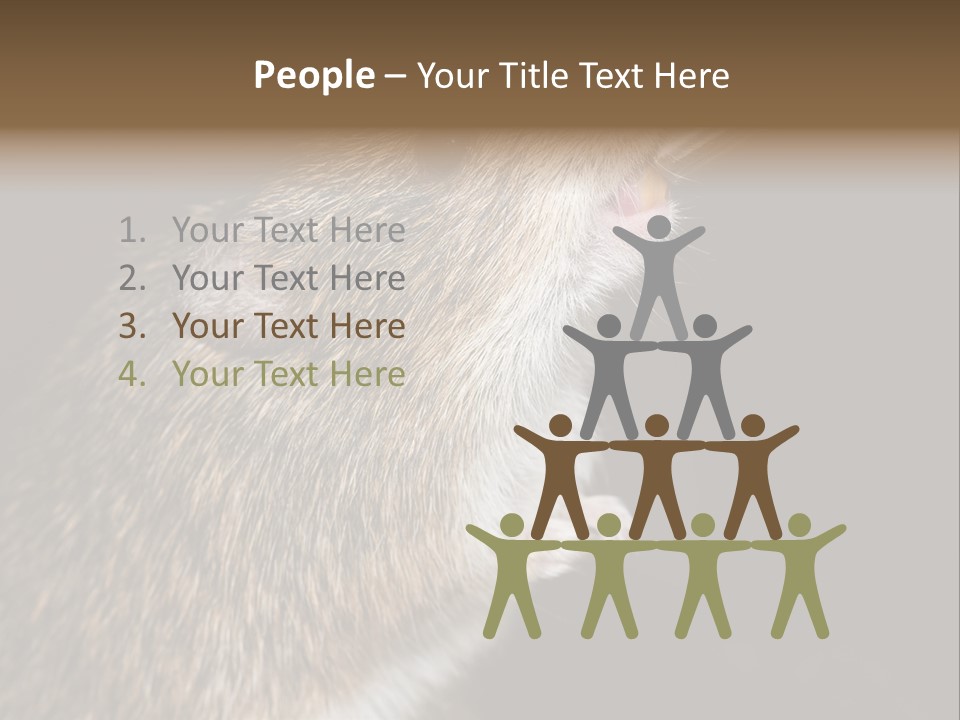 Pet Rat Drinks From Water Bottle Spout PowerPoint Template