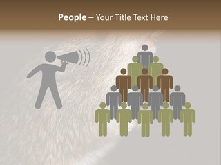 Pet Rat Drinks From Water Bottle Spout PowerPoint Template