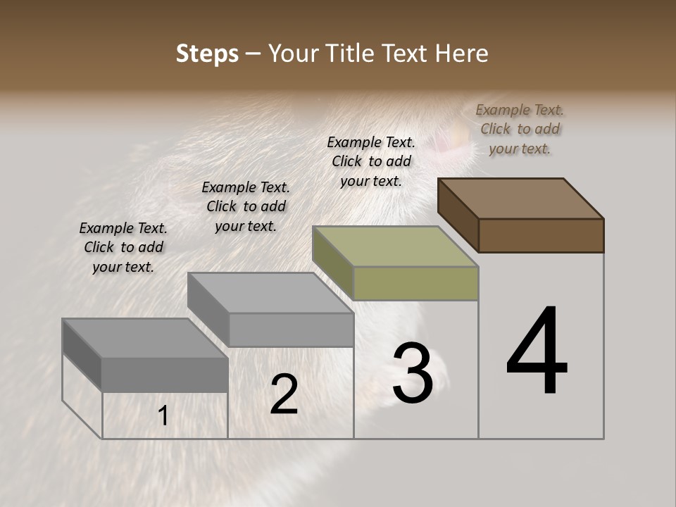 Pet Rat Drinks From Water Bottle Spout PowerPoint Template