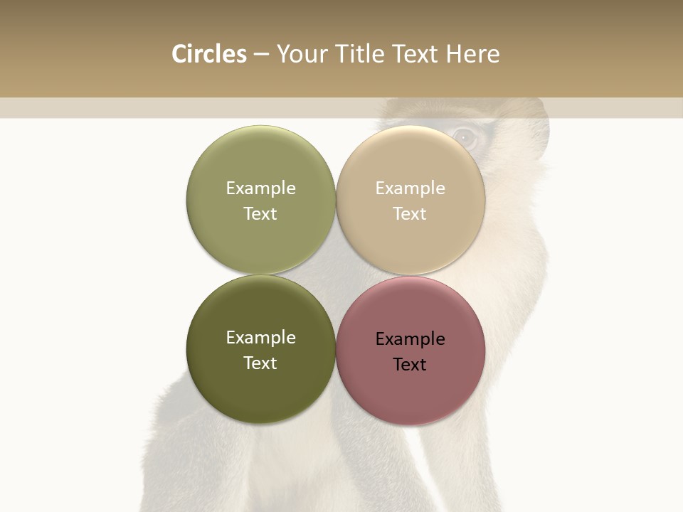 A Monkey Sitting On Top Of A White Surface PowerPoint Template