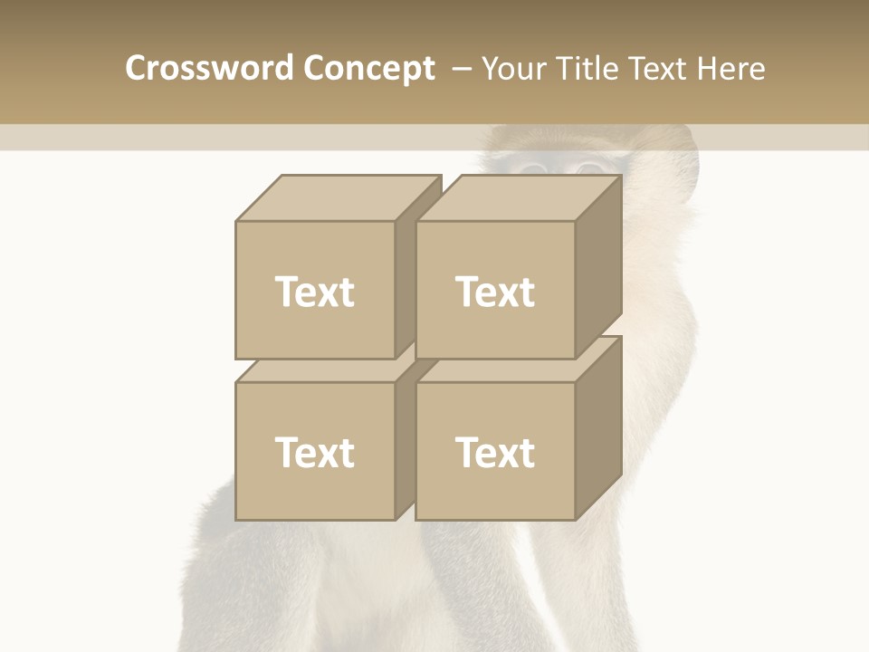A Monkey Sitting On Top Of A White Surface PowerPoint Template