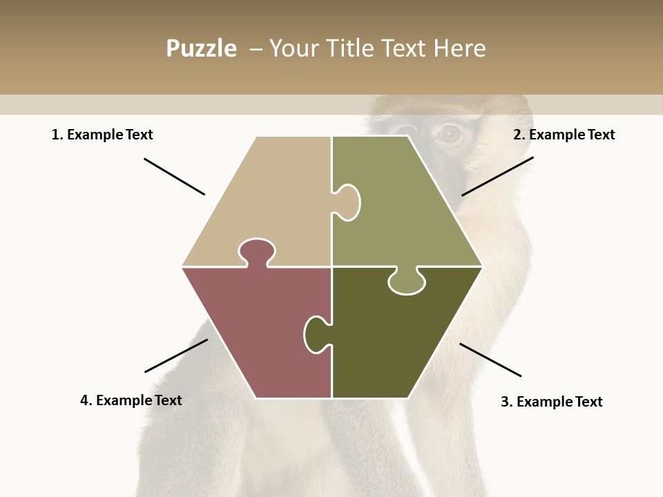 A Monkey Sitting On Top Of A White Surface PowerPoint Template