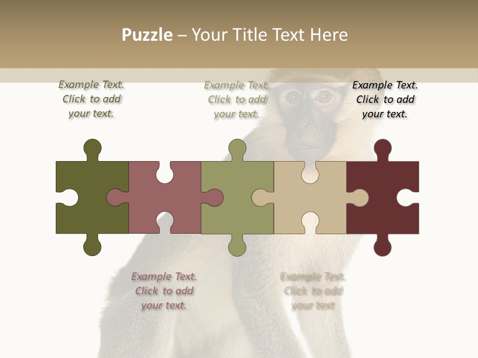 A Monkey Sitting On Top Of A White Surface PowerPoint Template