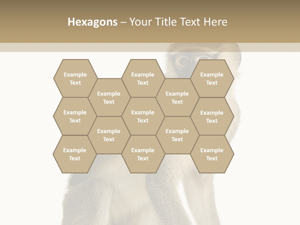 A Monkey Sitting On Top Of A White Surface PowerPoint Template