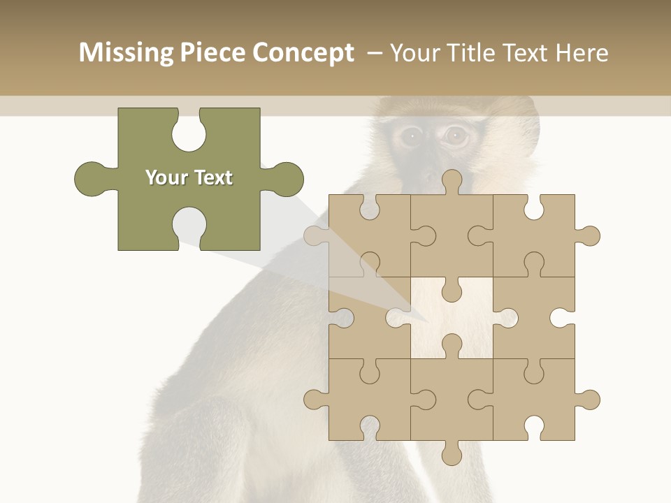 A Monkey Sitting On Top Of A White Surface PowerPoint Template