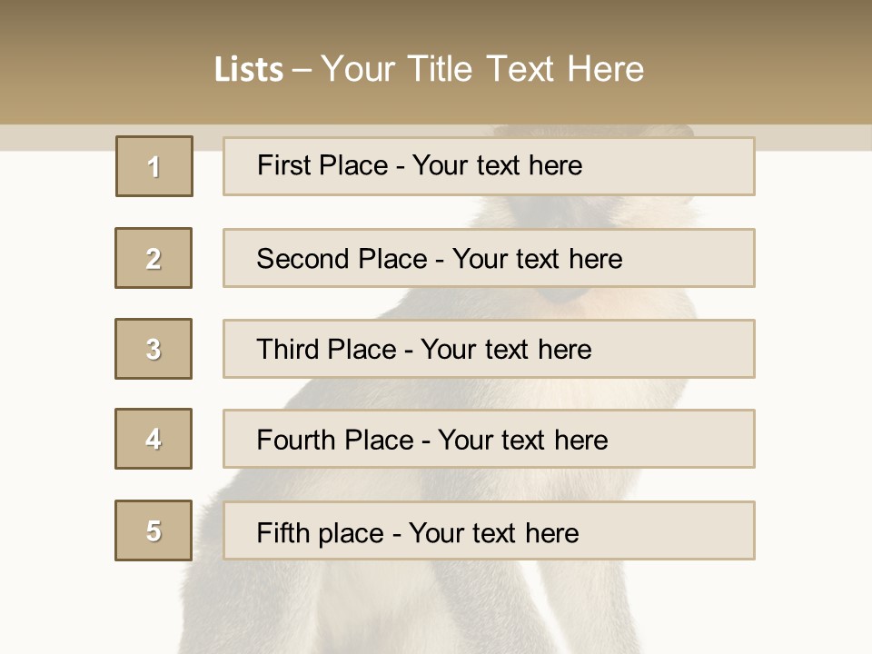 A Monkey Sitting On Top Of A White Surface PowerPoint Template