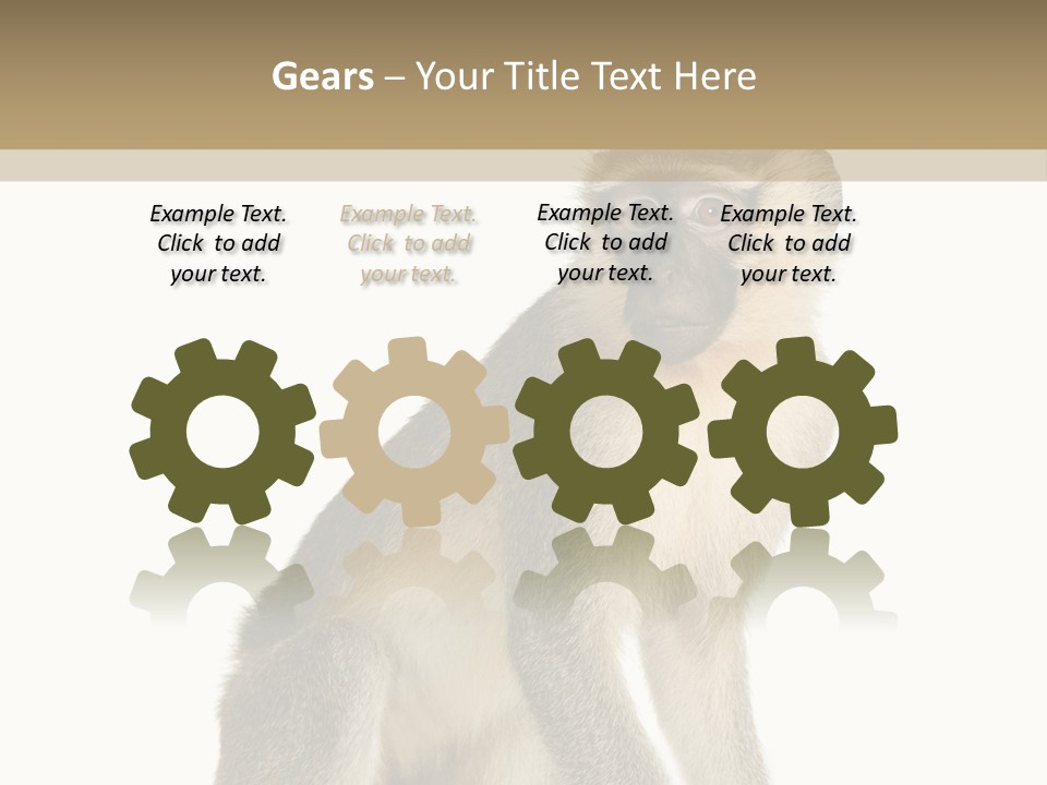 A Monkey Sitting On Top Of A White Surface PowerPoint Template