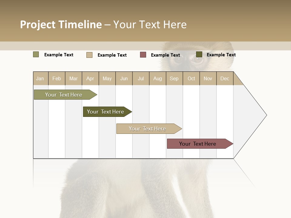 A Monkey Sitting On Top Of A White Surface PowerPoint Template