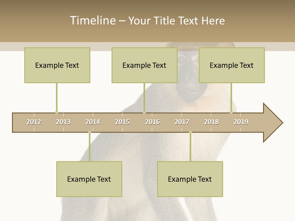 A Monkey Sitting On Top Of A White Surface PowerPoint Template