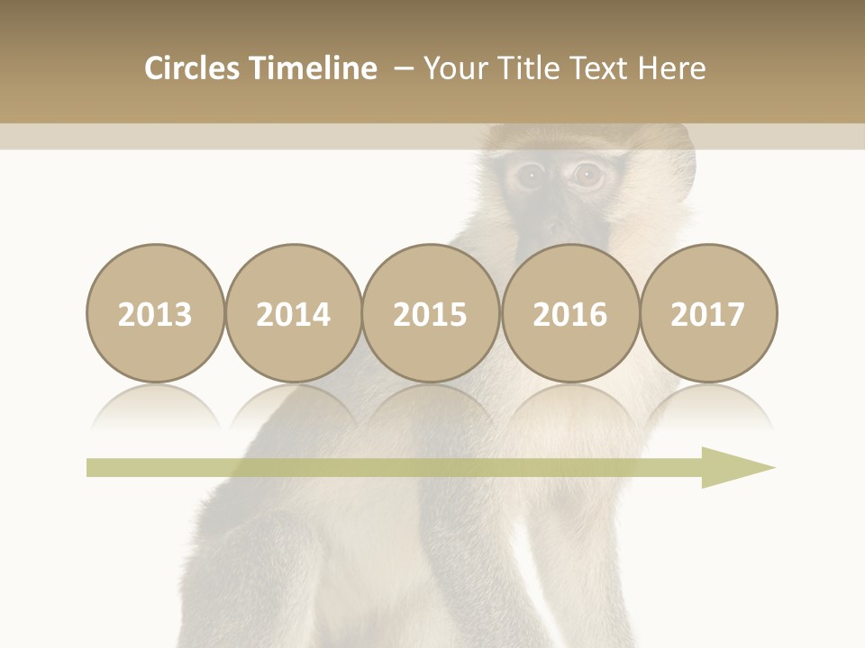 A Monkey Sitting On Top Of A White Surface PowerPoint Template