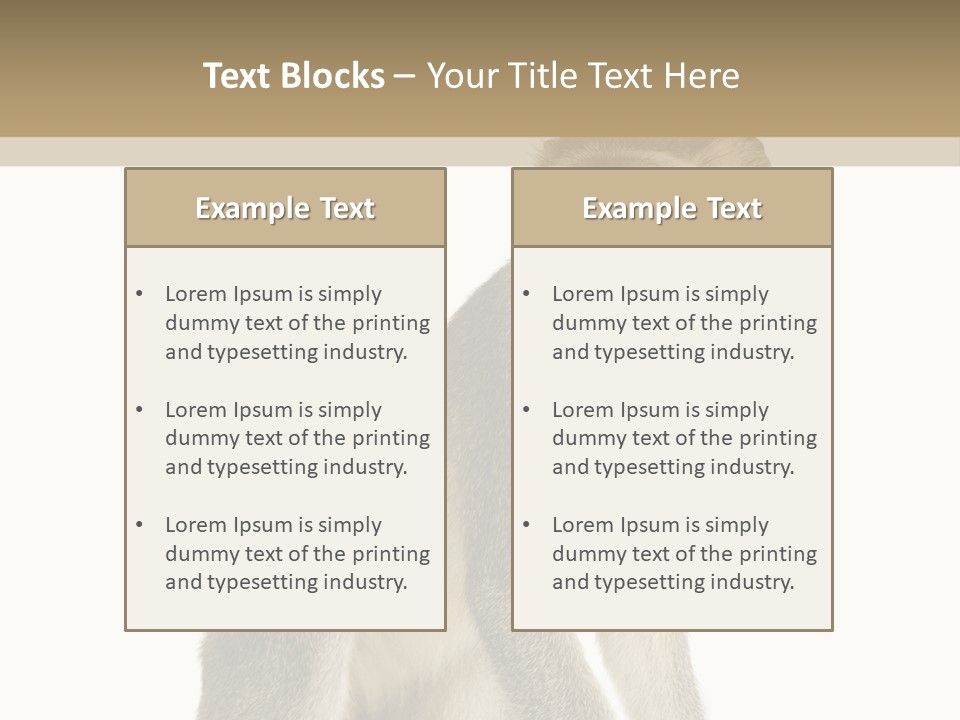 A Monkey Sitting On Top Of A White Surface PowerPoint Template