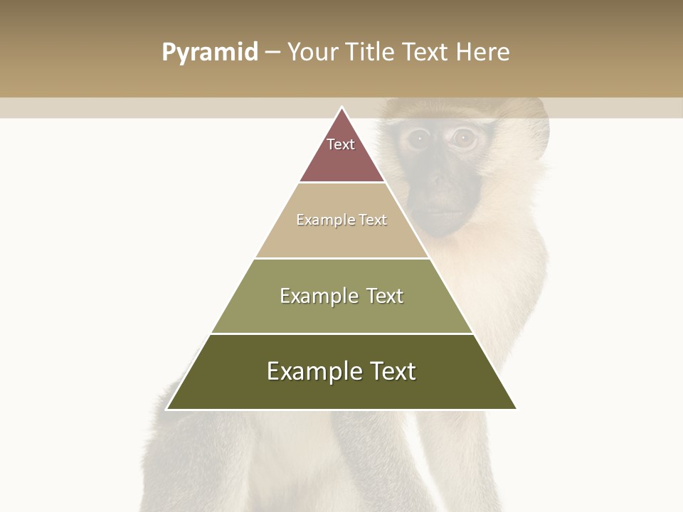 A Monkey Sitting On Top Of A White Surface PowerPoint Template