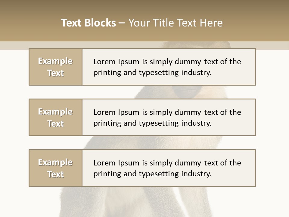 A Monkey Sitting On Top Of A White Surface PowerPoint Template