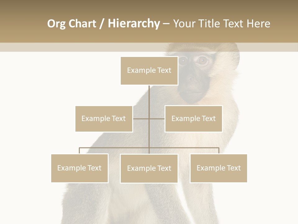A Monkey Sitting On Top Of A White Surface PowerPoint Template