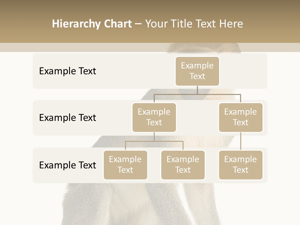 A Monkey Sitting On Top Of A White Surface PowerPoint Template